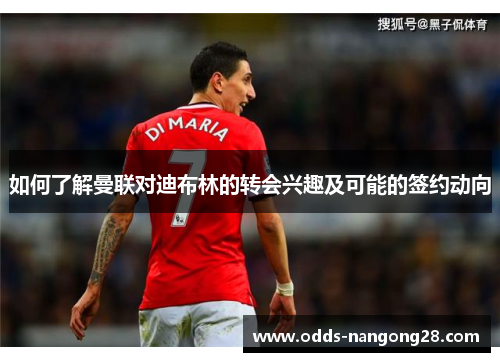如何了解曼联对迪布林的转会兴趣及可能的签约动向