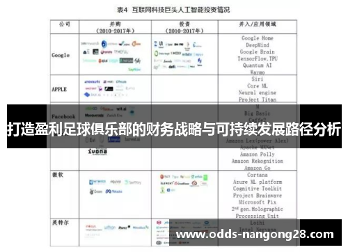 打造盈利足球俱乐部的财务战略与可持续发展路径分析