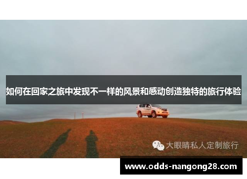 如何在回家之旅中发现不一样的风景和感动创造独特的旅行体验